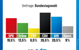 Nächster AfD-Rekord! Nächster AfD-Rekord!