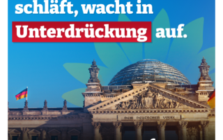 Demokratie heißt nicht, sich ständig gegenseitig auf die Schulter zu klopfen!