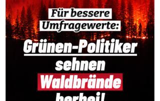 Für bessere Umfragewerte: Grünen-Politiker sehnen Waldbrände herbei!