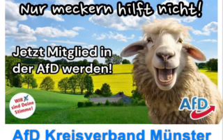 Meckern allein hilft nicht wirklich: Daher JETZT AfD-Mitglied werden.