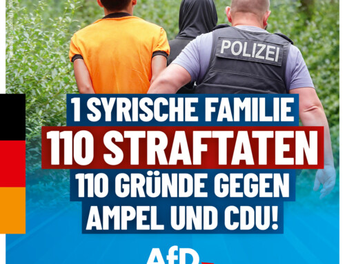 Eine syrische Familie, 110 Straftaten, 110 Gründe gegen Ampel und CDU!