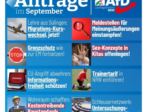 AfD-Anträge im September!