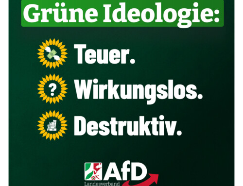 Grüne Politik: Der teuerste Irrweg aller Zeiten