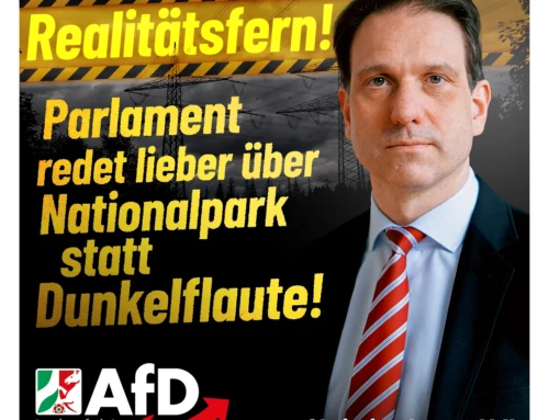 Trotz Strompreisexplosion: Landtag spricht lieber über Nationalpark statt Dunkelflaute!