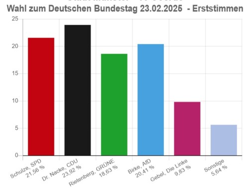 Wie lernt der Deutsche Michel? Durch Einsicht oder doch eher Schmerz?!?