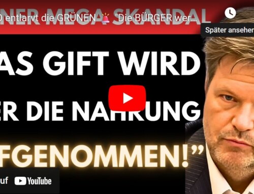 Windkraftanlagen verteilen witterungsbedingt permanent giftige CFK- und GFK-Partikel übers Land.