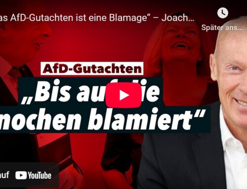 Joachim Steinhöfel: „Das AfD-Gutachten ist eine Blamage“