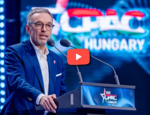 Migration entscheidet darüber, ob europäische Städte bald nur noch tote Kulissen einer untergegangenen Zivilisation und Kultur sind!