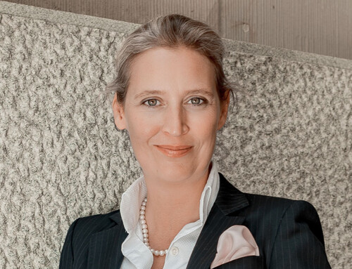 Alice Weidel: Schluss mit Reformstau und Ideologiepolitik gegen die eigenen Bürger