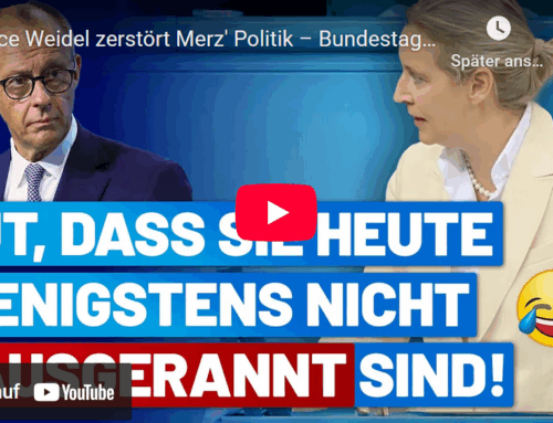 Dieser Bundeskanzler müsste bei intakter Selbstachtung vor Scham im Boden versinken.