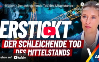 Pläne der AfD, damit der Mittelstand eine Zukunft hat.