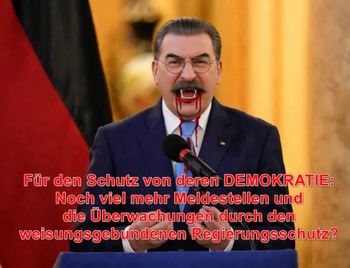 Steinmeier warnt vor „Extremisten mit schwarz-rot-goldenen Fahnen“